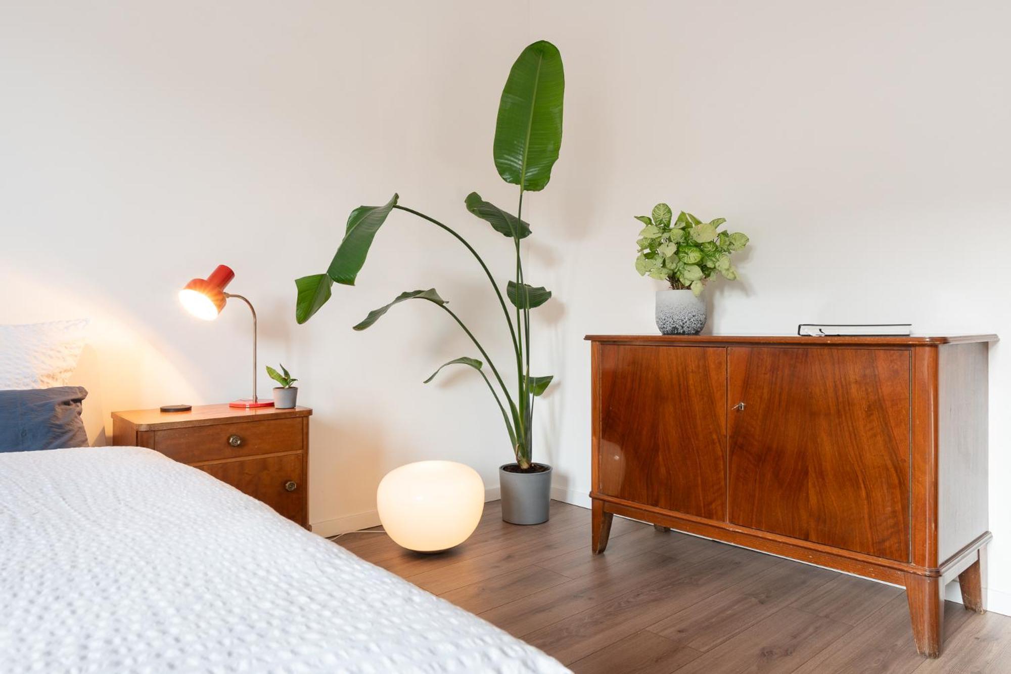 Luxurioeses Apartment, 10Min Innenstadt, Parkplatz Erfurt Esterno foto